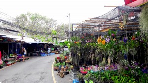 chatuchak-005